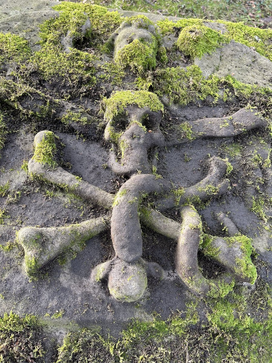 Mark Hatton tweet media