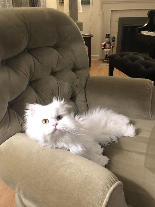 Ruby12338's tweet image. 