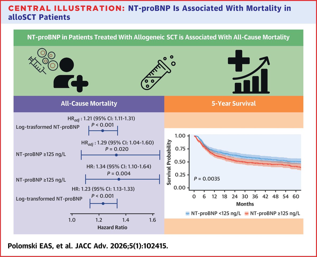 Prognostic Value of NT-proBNP in Patients Treated With Allogeneic Stem Cell Transplantation

Baseline NT-proBNP in patients treated with alloSCT is positively associated with an increased risk of all-cause mortality. NT-proBNP ≥125 ng/L was associated with a significant lower