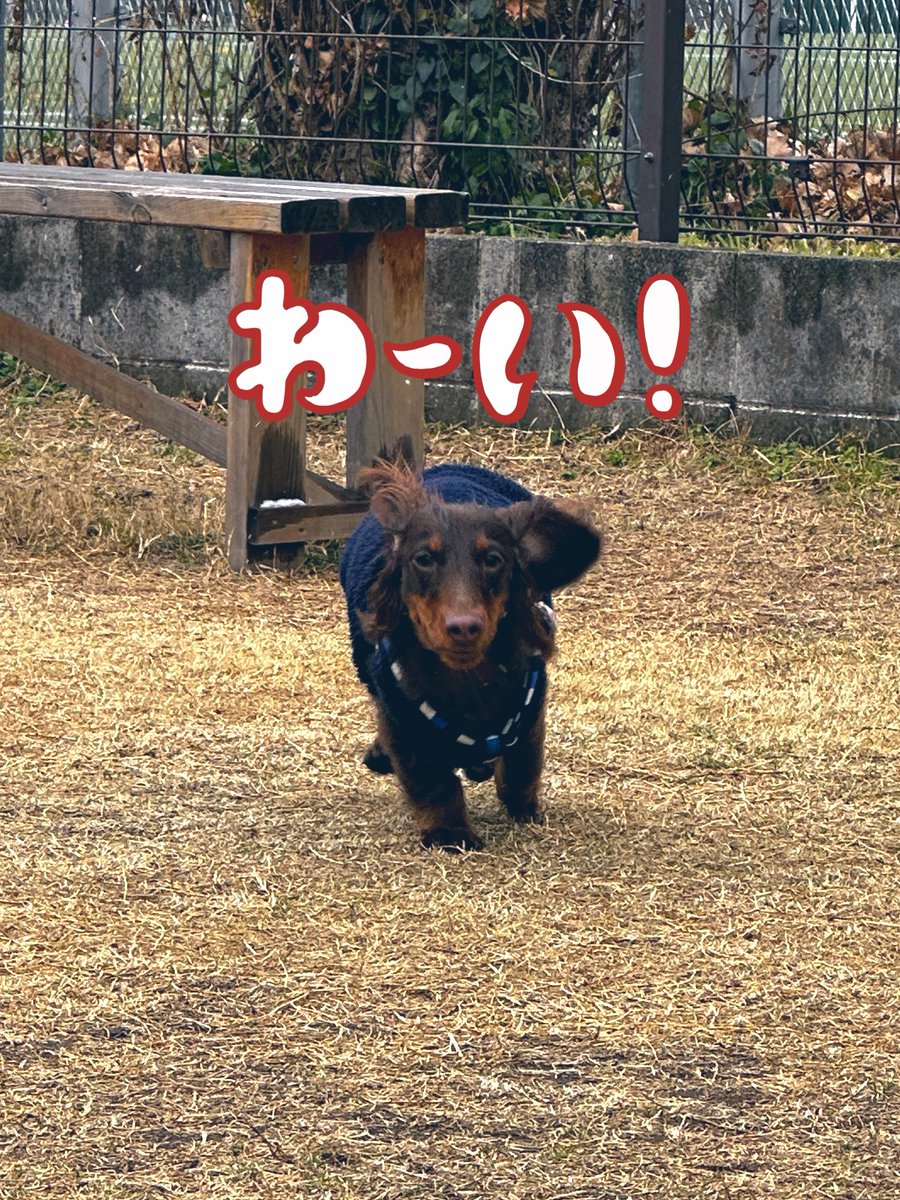 りょうくん tweet media