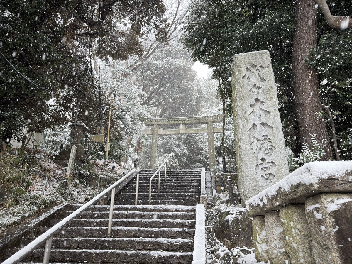 たまたま立ち寄ったらエモかった。