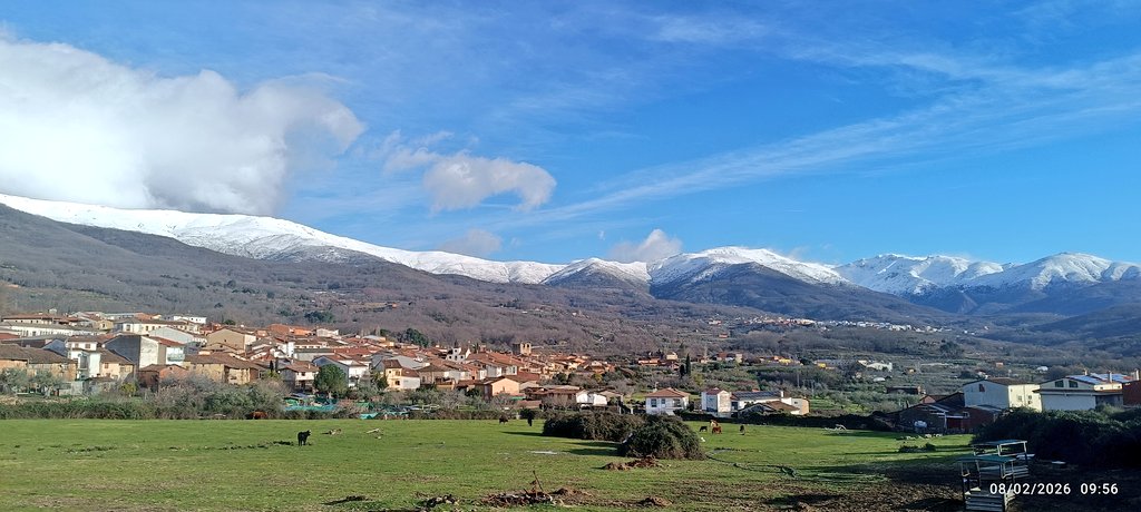 Nava del Concejo tweet media