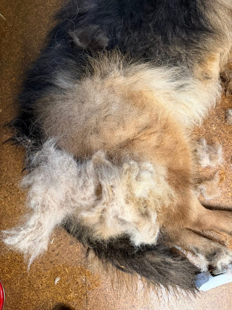 Czarna Lista Pro tweet media