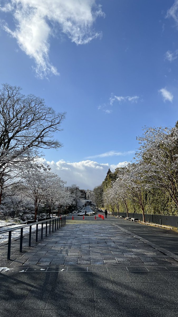 helloworldjp23's tweet photo. 晴れ間に舞う粉雪の光。
これまで何度も雪は見てきているけれど、こんなに美しいと思ったことはない。
京都、だからかな…
#京都 #澄み切った光 #kyoto https://t.co/H8ZQrgDDKg