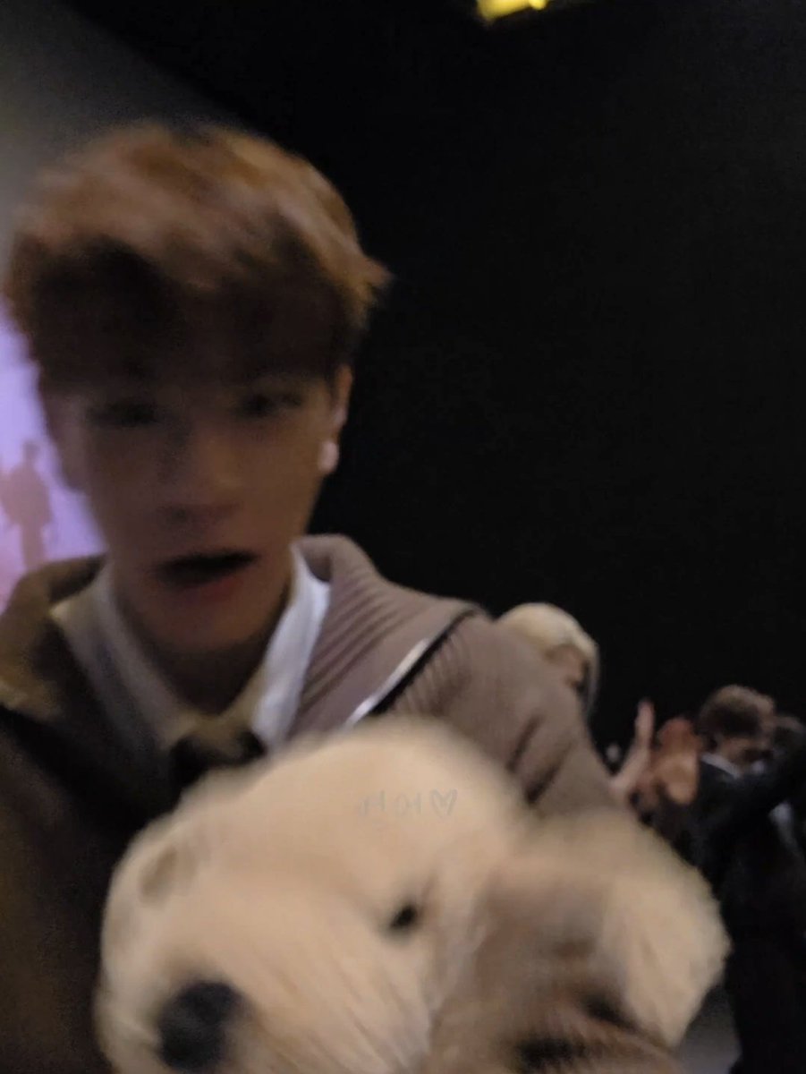 ☃️🥚 tweet media