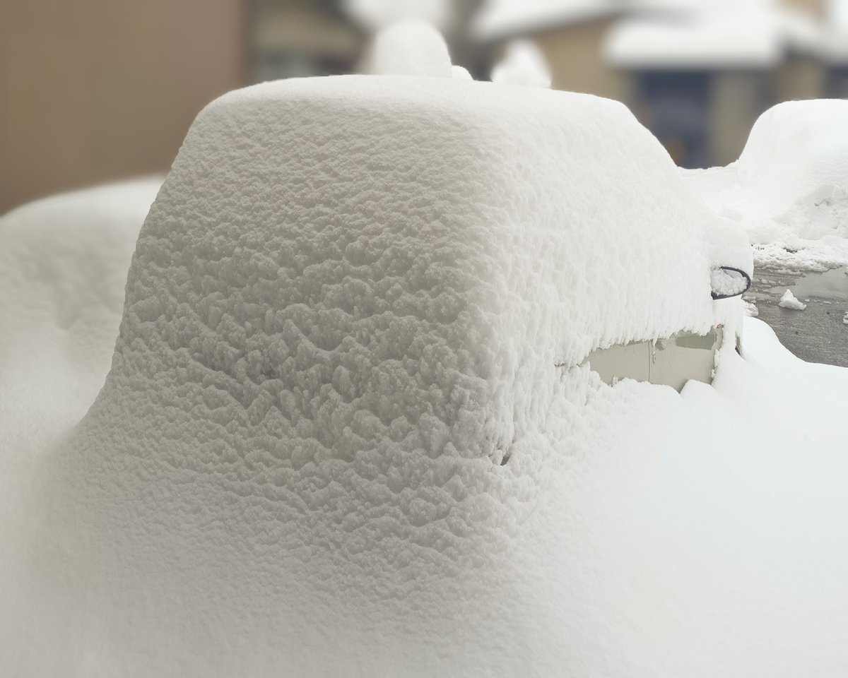 worker-E tweet media