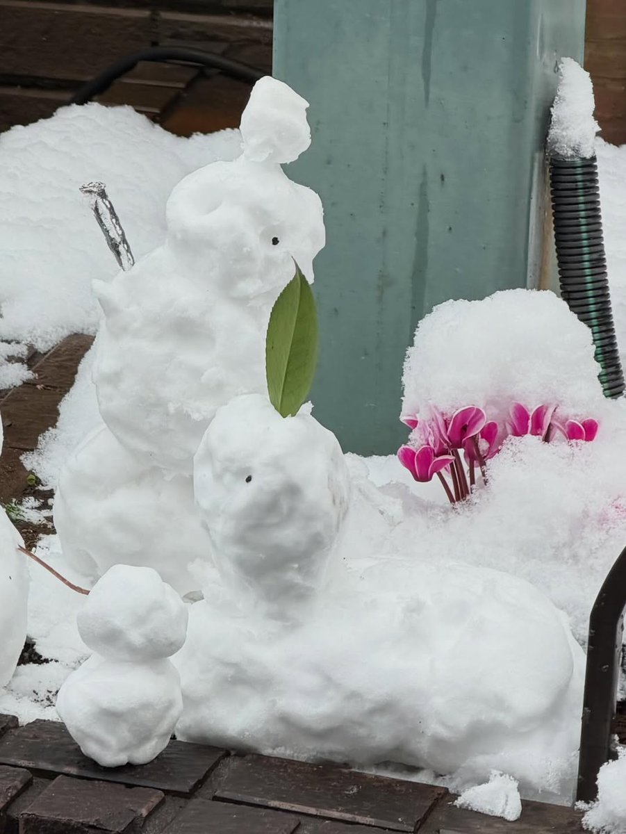 It's snowing 🌨️ 

#LEEJINWOO #이진우
#GHOST9 #고스트나인

[260208 jinwoo__913 IG]