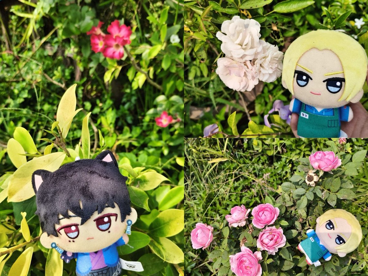 สารคดีเรื่อง หนูน้อยหมวกฟ้ากับเจ้าชายอึ่ง