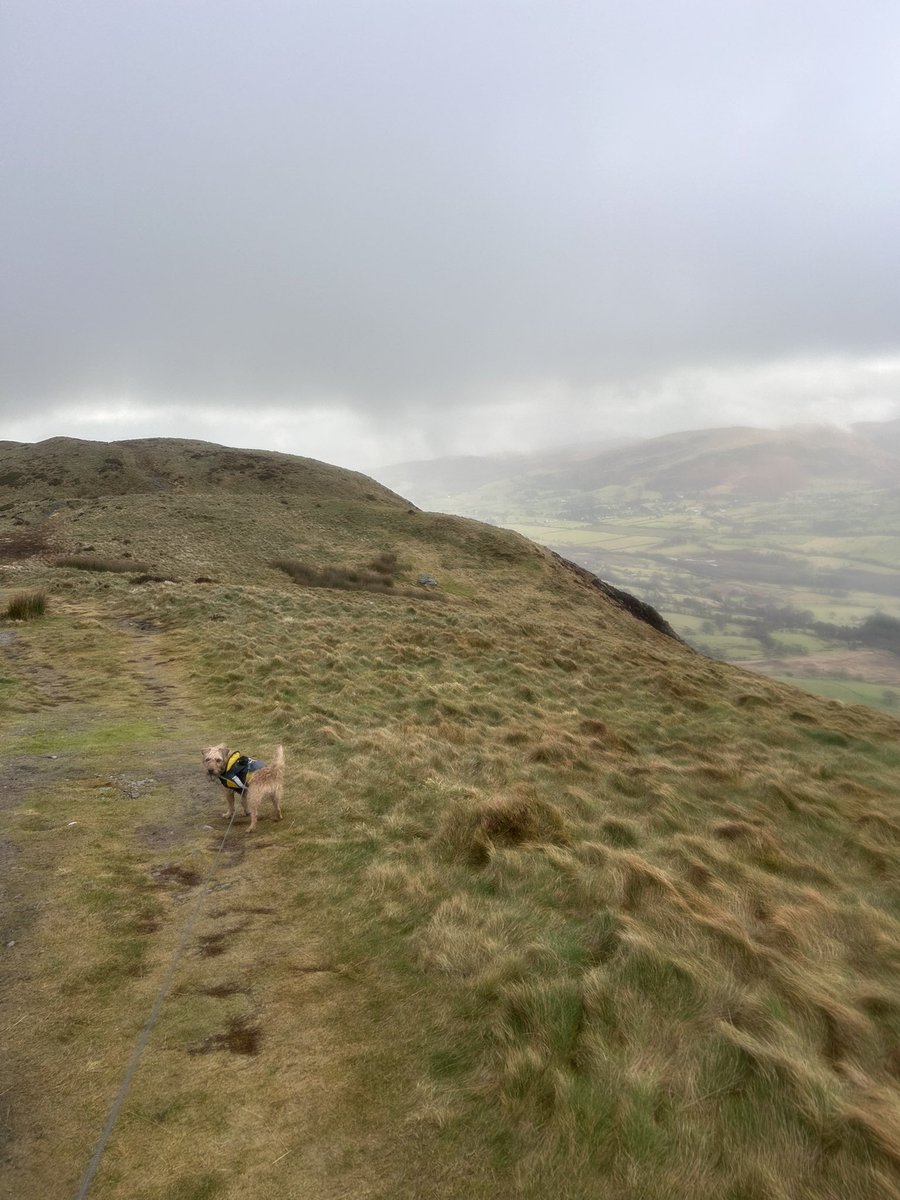 Ticking off some Wainwrights in the clouds listening to <a href="/bbctms/">Test Match Special</a>, not a a bad Sunday morning!