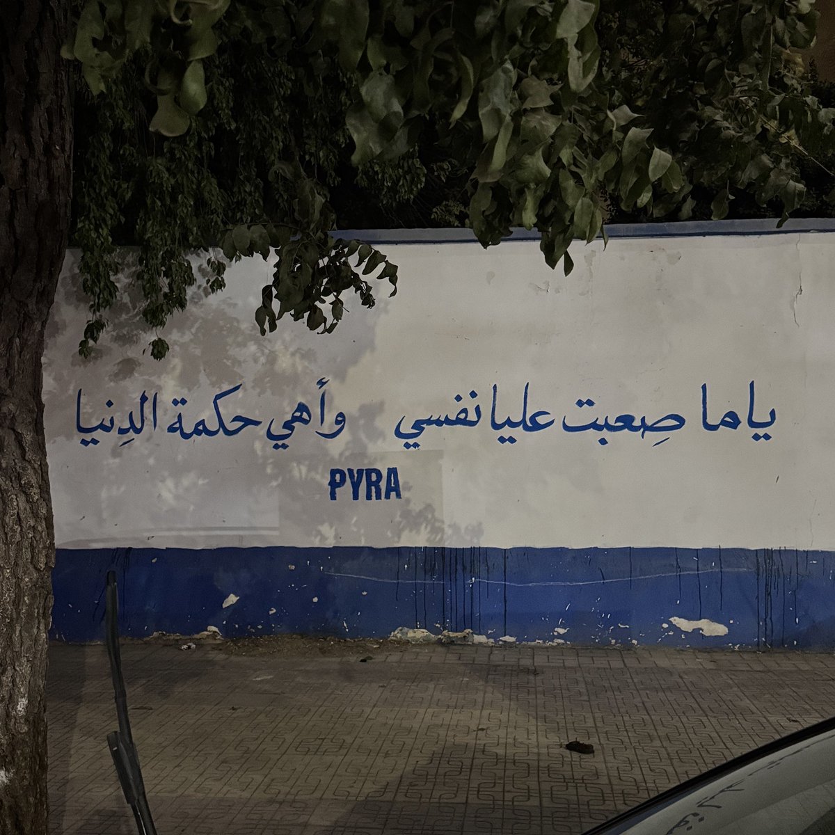 واهي حكمة الدنيا …!؟