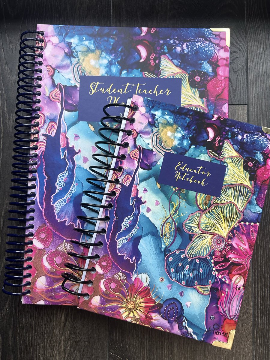 Tidy Think Educator Planners tweet media