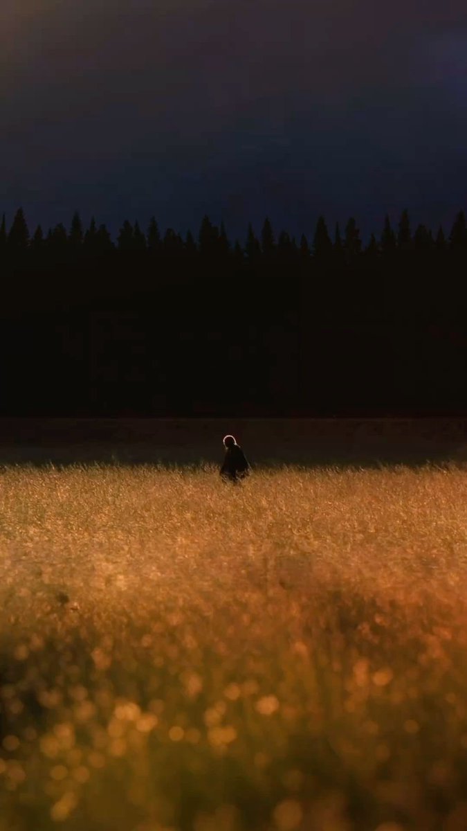 rositascrossbow's tweet photo. The Lone Walker. https://t.co/JjziIfBixa