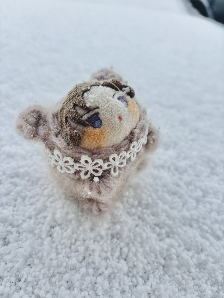 おもち️️️ (@FGOnoMOTI_1019) on X