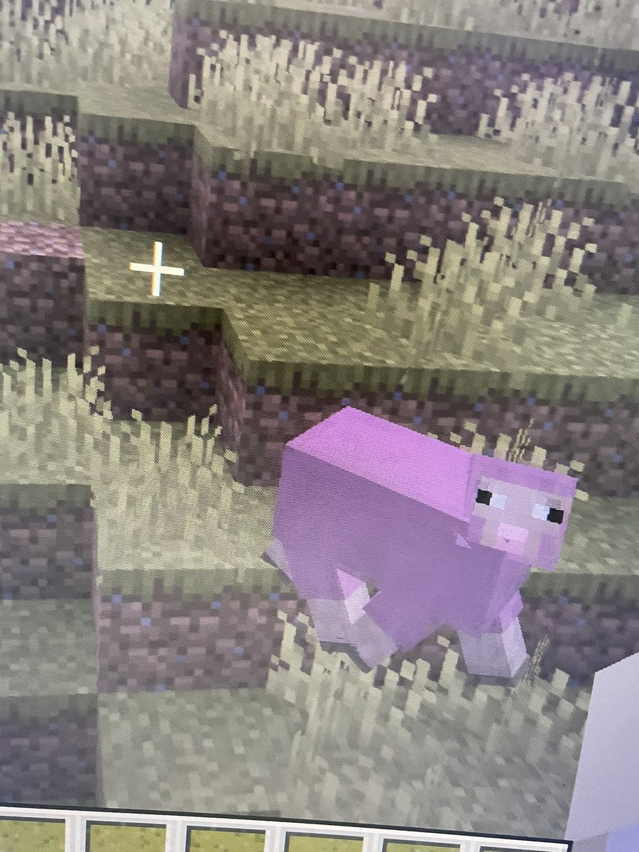 I'm getting better abs, the sun finally came out &amp; the 4pm sunsets aren't ruining my life anymore, I still make and eat cookies, &amp; this sheep..... this fckin guy..