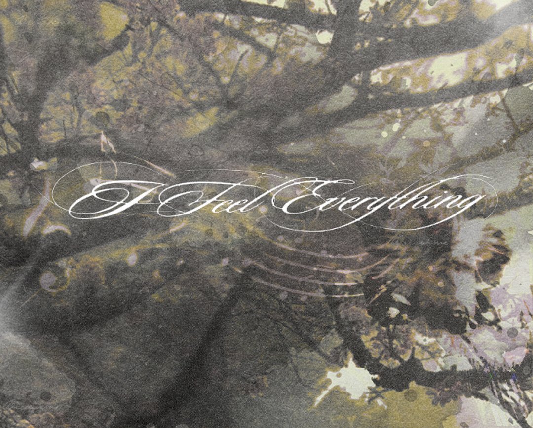 breaikme's tweet photo. i feel everything by maggie lindemann graphic https://t.co/ju7FVb9mBb