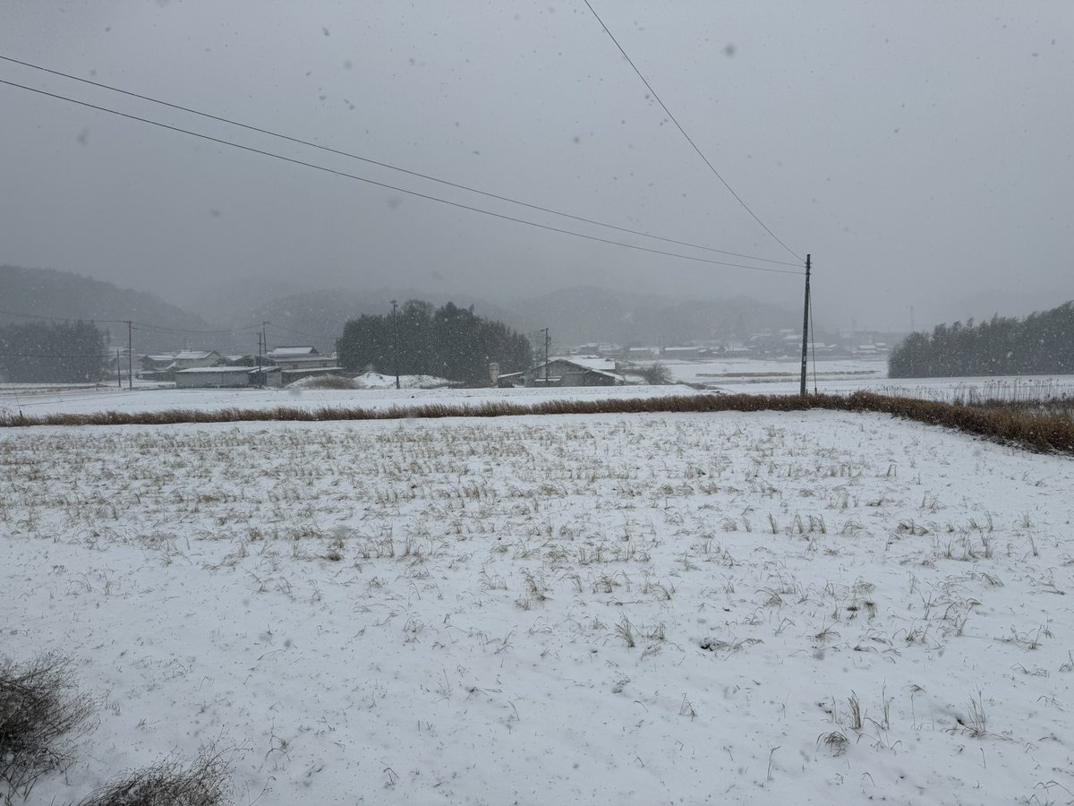 shukka01's tweet photo. ２月8日（日）、この冬初めてのまとまった積雪になりました。
峠道も完全に雪道と化し、やっと愛車に履かせていたブリザックの出番らしい出番が来ました。
#雪  #大雪  #snow  #눈  #nieve  #heavysnow https://t.co/Fu1sLhzBlB