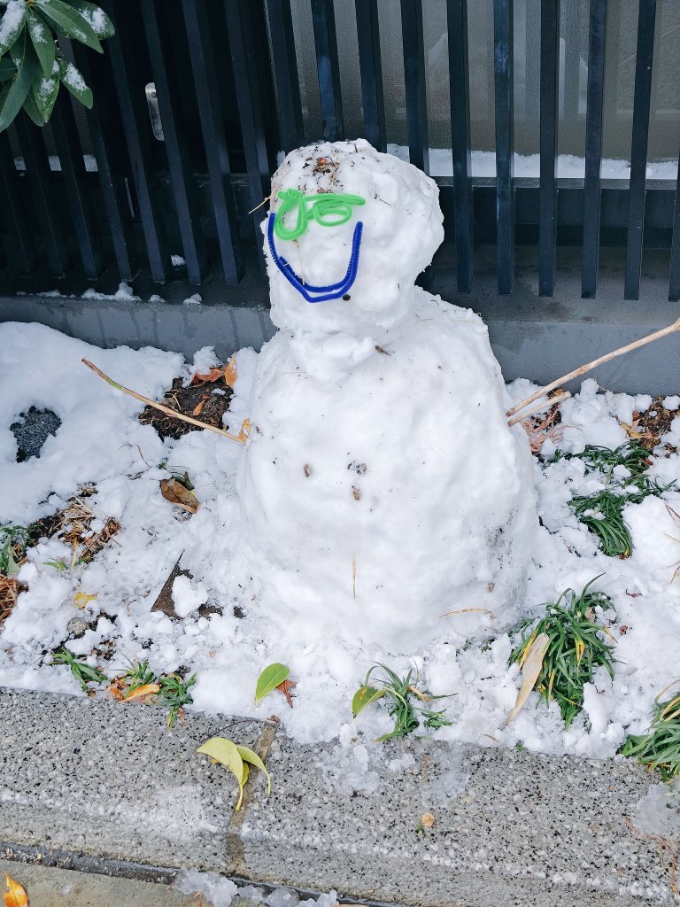 散歩しました。誰かが作った雪だるまが居ました。溶けないといいね。