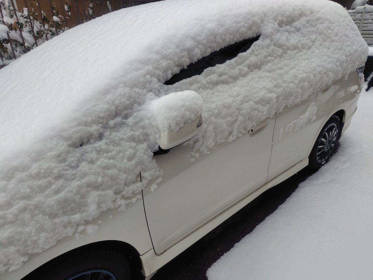 naruki1204's tweet photo. 船橋市、思ってたより雪積もってて、いつも満車に近いスーパーもスタッドレス履いてる人少ないからガラガラでした。
選挙も行く人少なそうだからまた選挙率は低そうだね…

#船橋市
#雪
#スーパー
#選挙に行こう https://t.co/vinukk2aTW