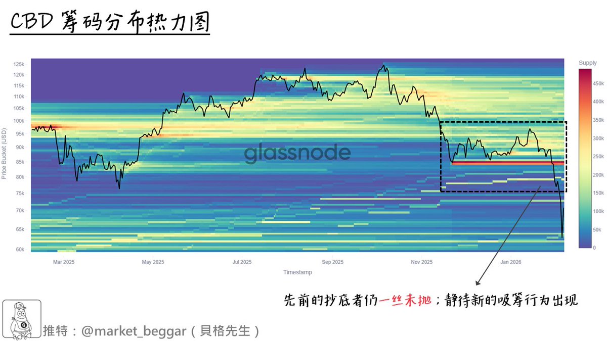 貝格先生🐢 tweet media