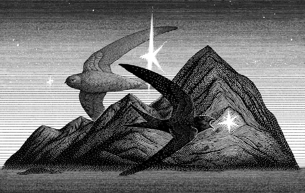 clarascintilla's tweet image. Sharing