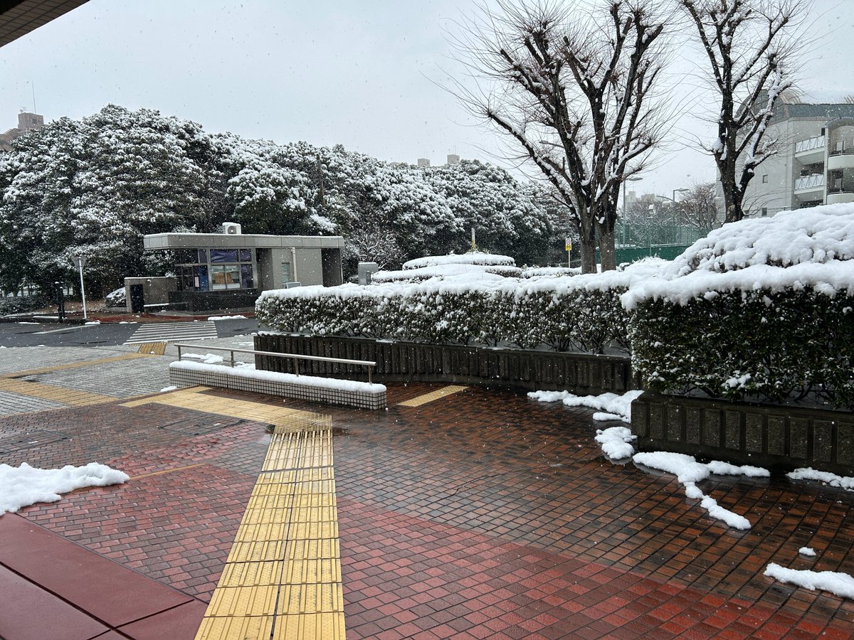 放送大学千葉学習センター tweet media