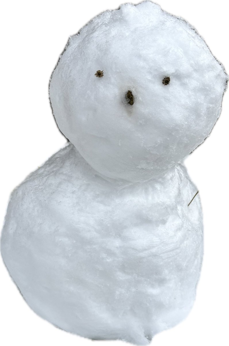 _memit's tweet photo. 投票行って、そのあと雪だるま作った✌️

みんなが自分らしく生きるように、願いをこめて1票投じてきました。
可愛いものなんて、必要ないと見なされれば真っ先に淘汰されるものですからね https://t.co/lxezXSnNV2