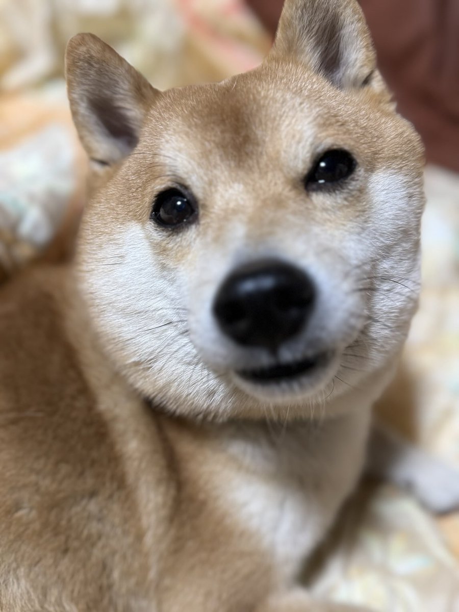 河バターチキンカレー(・ⅹ・） (@19971120Suki) / Posts / X