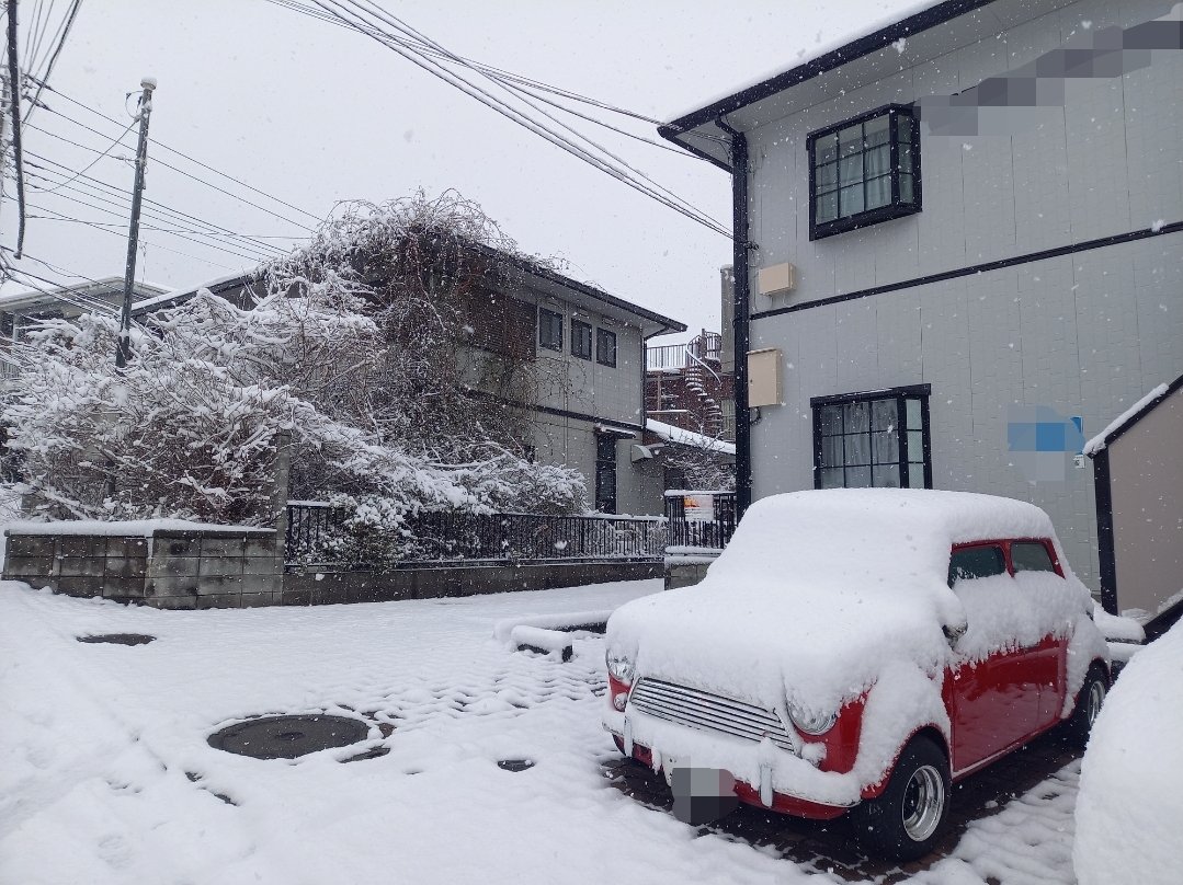 rinmuu4's tweet photo. エンジョイゴルファーの皆様🏌️‍♀️✨おはようございます⛄❄️５年ぶりの大雪らしいですね。不要不急の外出を控えております。 https://t.co/hR9OszxfV4