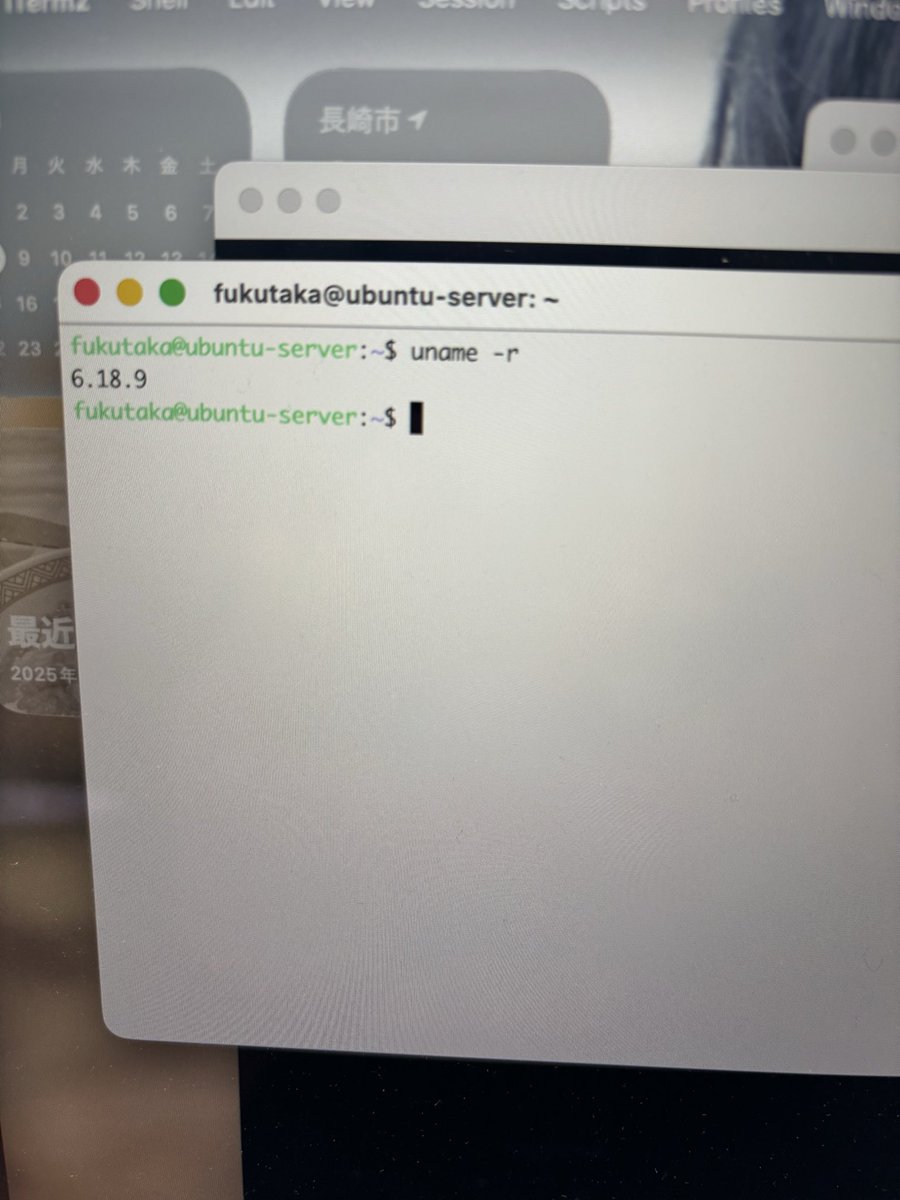 キチンと Linuxカーネル6.18.9起動確認