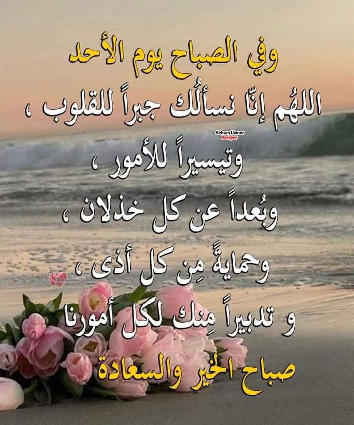 صباح الورد والفل و الكادي 🌹🌷🥀💐