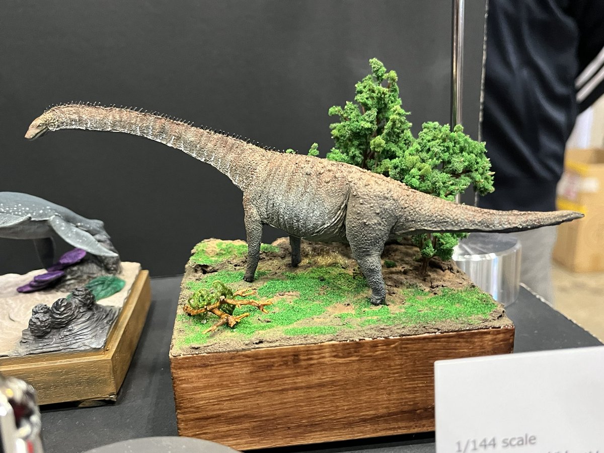 WF2026W 4-01-03 TOKYO MODELING ホソウラギョリュウ 僅かな化石から