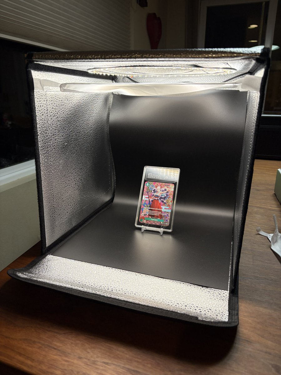 DachshundWizard 🧙♂️ tweet media