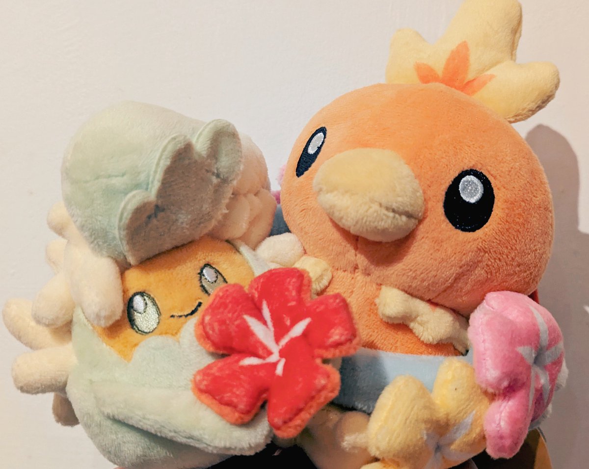 GUSA💮 tweet media