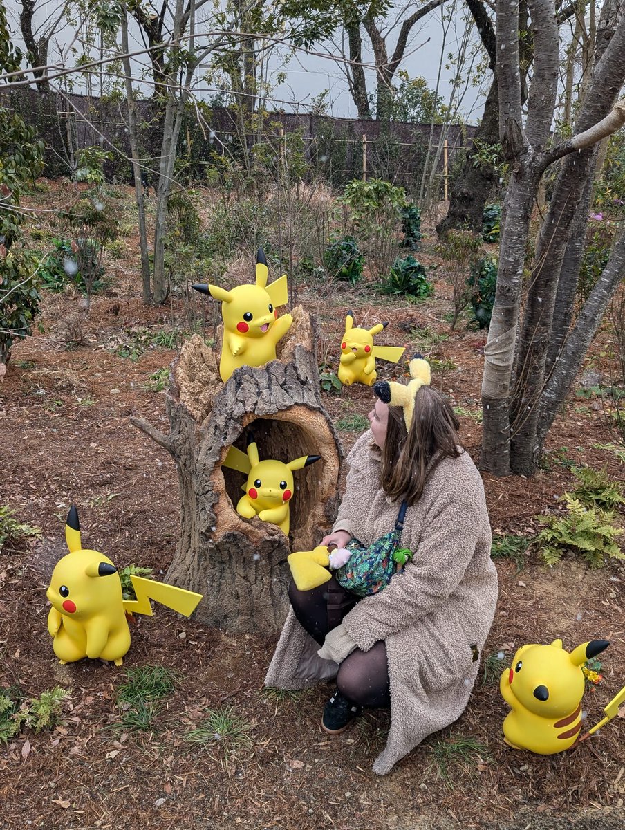 HolliePattison's tweet photo. Poke Park Kanto 🤩 https://t.co/Rf0UPcbKke