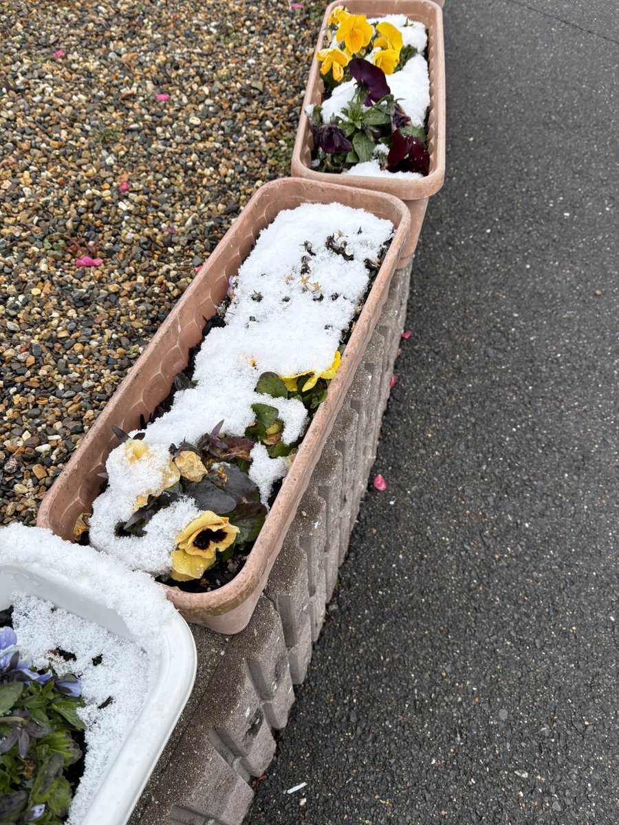 とももん✈️🌈🌐 (@tomomonn) / Posts / X