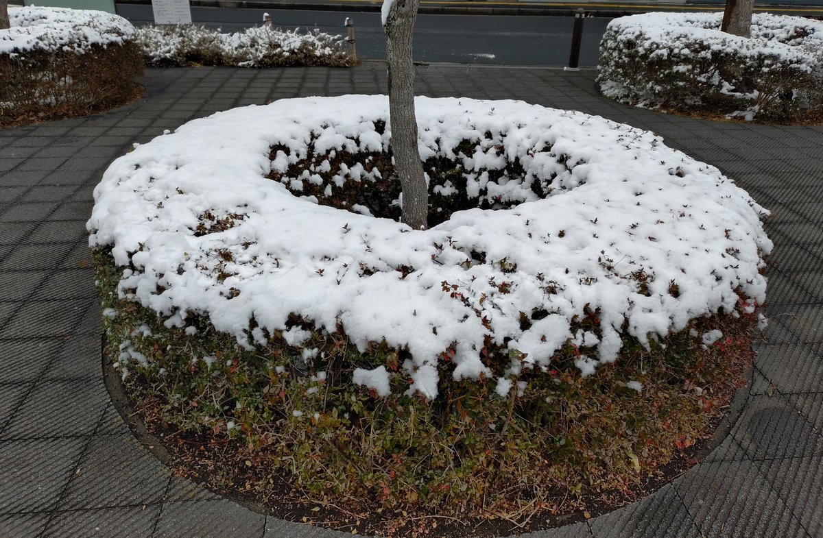 何だか美味しそう🍩❄😋