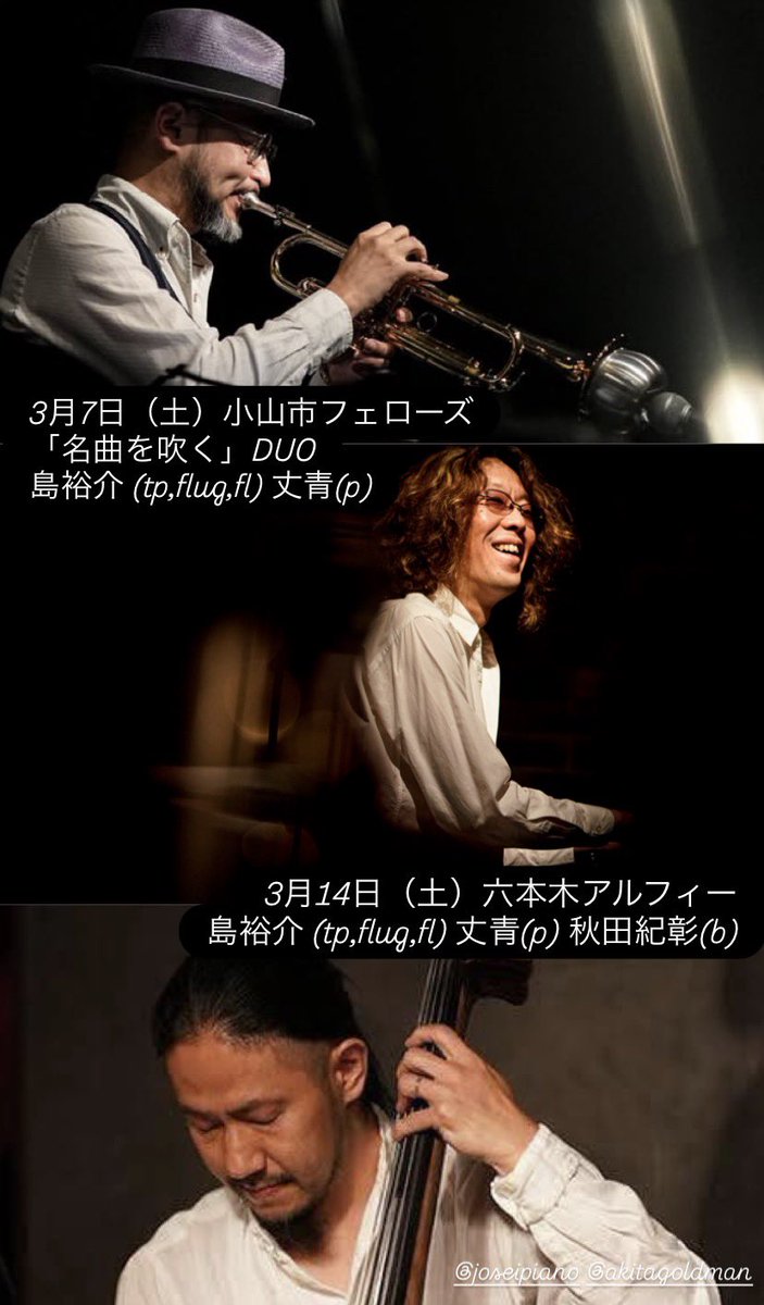 島裕介 しまゆうすけ tweet media