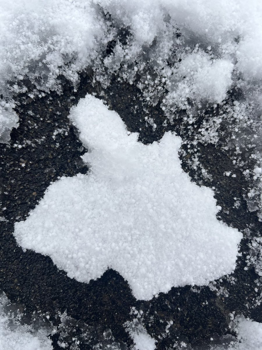 雪がえらい降ってるから
鎌倉作ろ！って言ったら
鎌倉市は作れません！
って言われたから
作ってやった‼️
地図です🤣