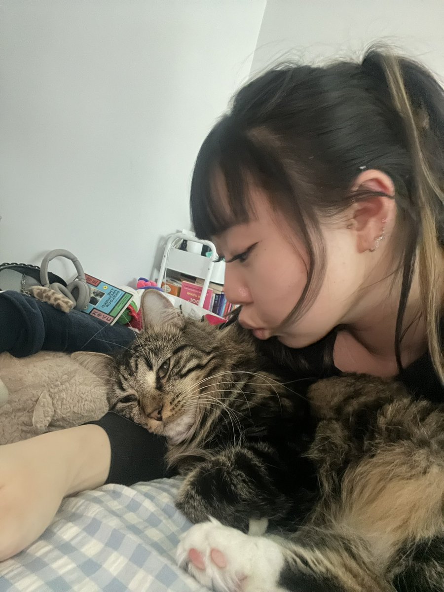 a *·˚ ༘♡ tweet media