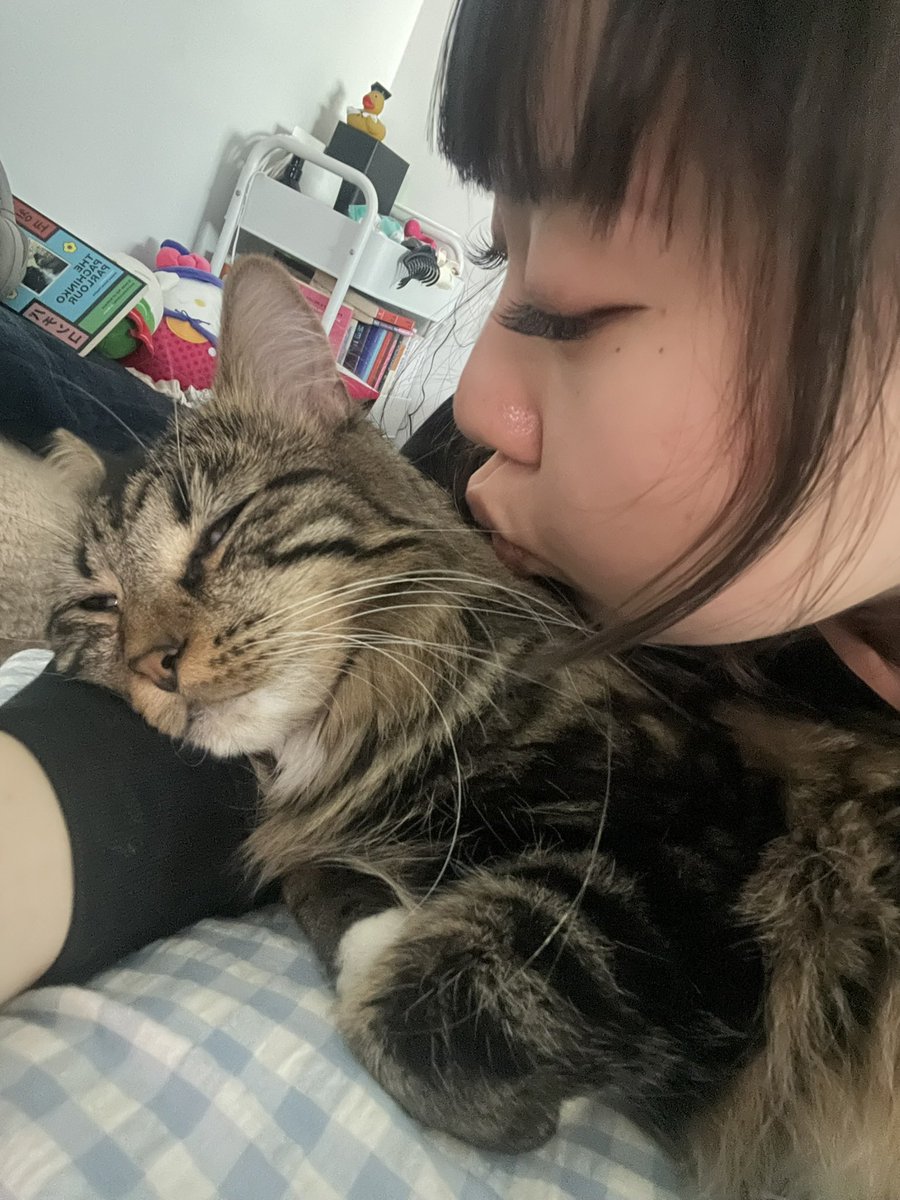 a *·˚ ༘♡ tweet media