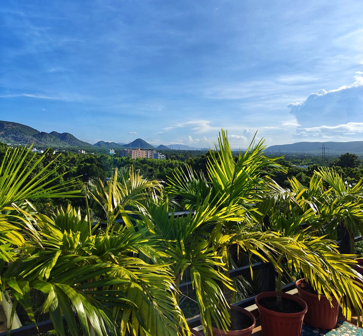 Professor tweet media