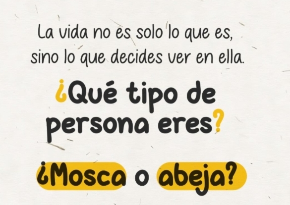 LunaGitana0333's tweet photo. La parábola de la abeja y la mosca:
 La mosca buscaba basura y la abeja buscaba flores.

Ambas volaban en el mismo campo, respiraban el mismo aire, y enfrentaban el mismo sol.
Pero vivían realidades distintas.

Porque su mirada era distinta.
 No es el lugar donde estás, es lo que decides ver.

Así mismo pasa en la vida.
Hay quienes caminan rodeados de oportunidades, de amor y de pequeños milagros diarios.

Pero su corazón está entrenado para encontrar solo lo que duele.
Lo que falta y lo que amarga.

Otros, en medio de las mismas dificultades eligen buscar lo bueno.
Lo que edifica y lo que da esperanza.

No es que unos tengan más bendiciones que otros
Es que algunos aprendieron a mirar con fe
Y otros siguen mirando con queja.

Porque al final, lo que buscas es lo que encuentras.
 Si te enfocas en lo negativo tu vida estará llena de problemas.

Si buscas lo bueno, siempre encontrarás motivos para agradecer.