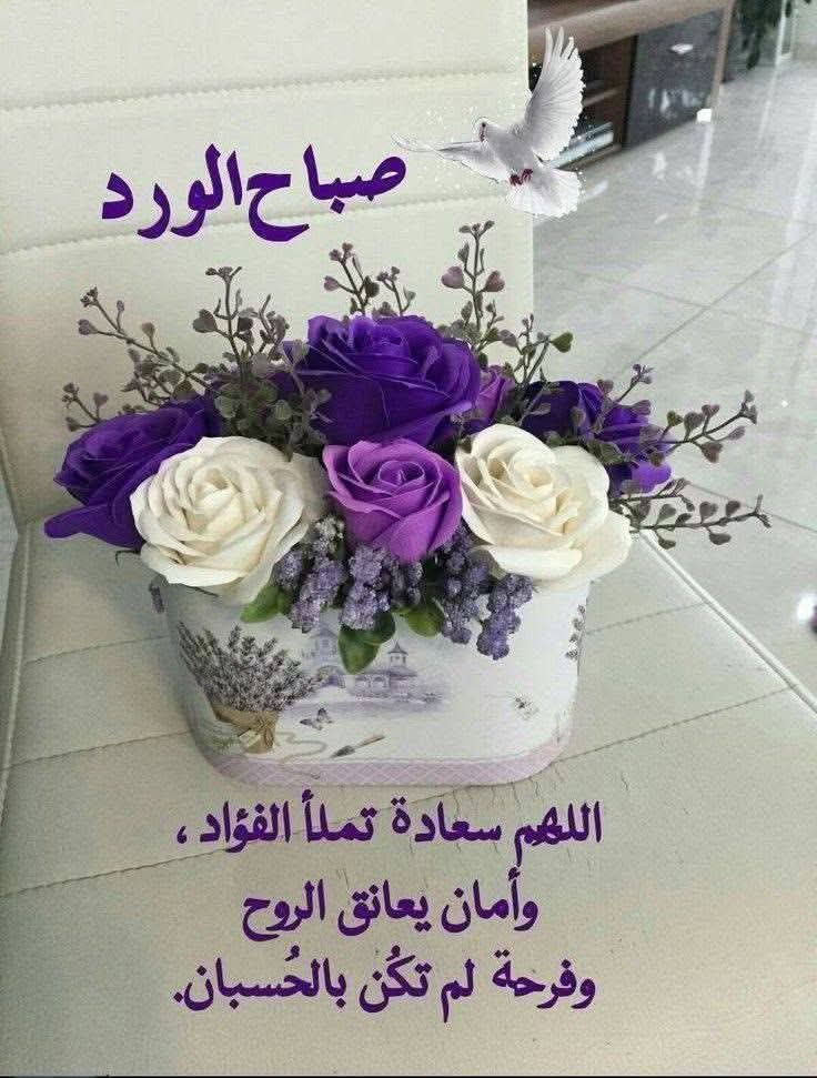 صباحكم رضا من الله