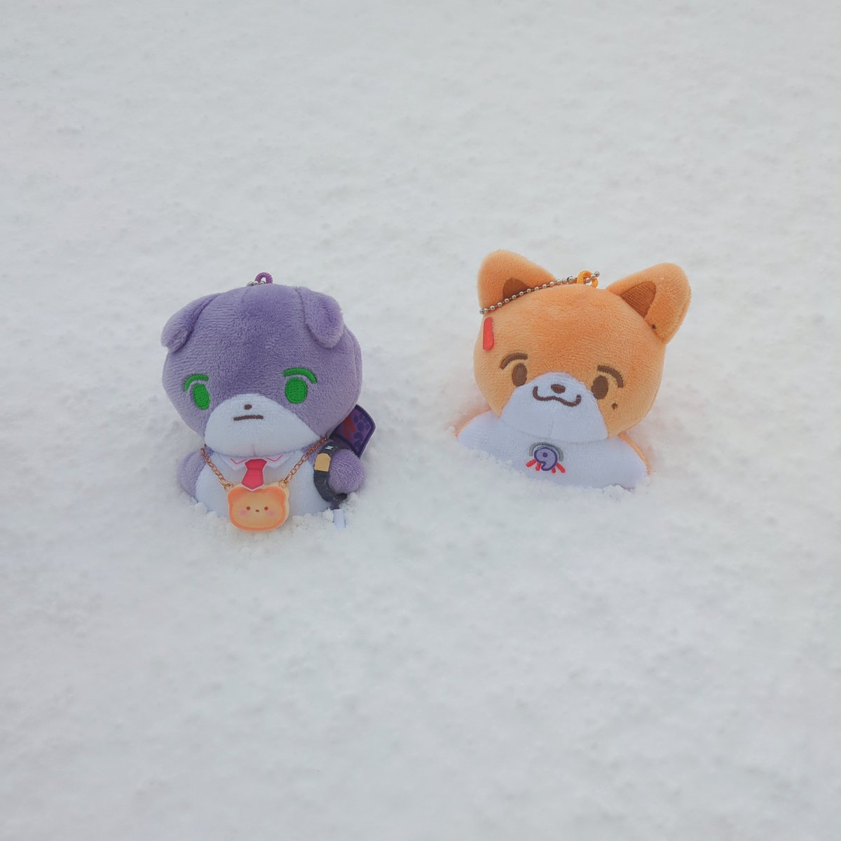 ☆くまごろぅ☆ページ Post by くまごろぅ on X: 雪の日たうん