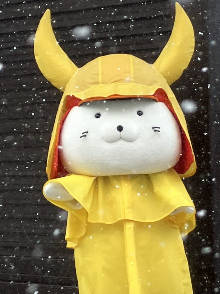 あきにゃん🦢🎵歌とハープが好き🦢🎵第九のソロを歌いたい