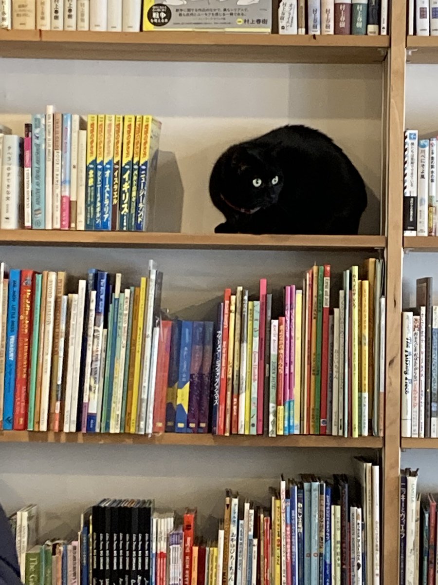 まめい tweet media