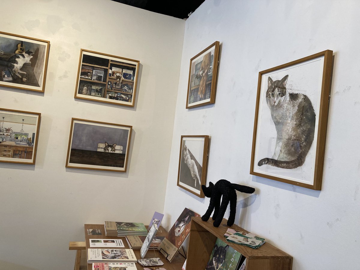 まめい tweet media