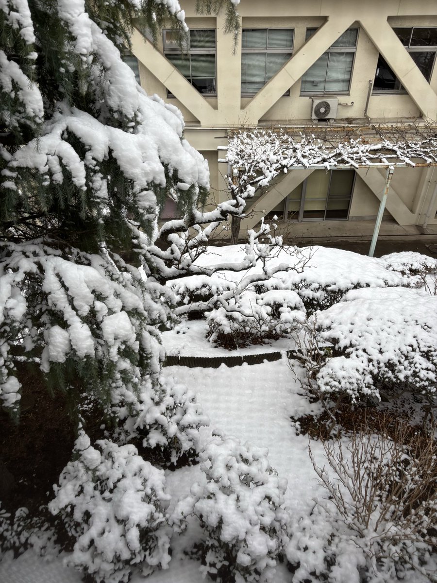 今起きたんだけど、どうりで一生雪だるまの中から出られない夢見るわけだわ