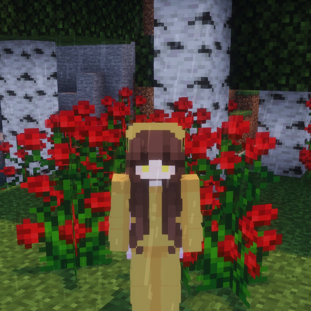 Nowaaa ⚡ tweet media