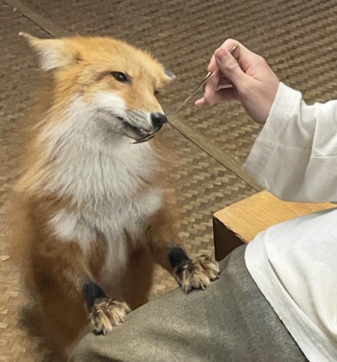 Soulmate2H's tweet image. “ผมชอบไปคาเฟ่หมา ชอบให้หมามารุม”
“ไปเมื่อไหร่ พี่ไม่เห็นเคยไปเลย”
“ห้ะ”
“พี่ไม่เห็นเคยไปเลย”
“จริงไหมเนี่ย คาเฟ่หมาอะนะ”
“อือ”
“เพิ่งไปจ้า ที่เชียงใหม่ ชั้นเพิ่งไปมาเนาะ เนี่ยไม่สนใจ”
“พี่ไปฟาร์มแมวมา จะไปซื้อแมวให้เฟิร์สไง”
 
จบ พระเมะกุหลุดคดี